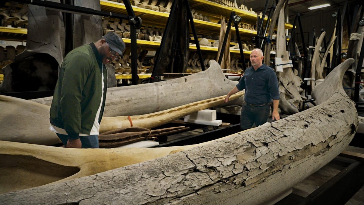 Keith Pyenson Secrets of the World’s Only Whale Warehouse | BTPM PBS