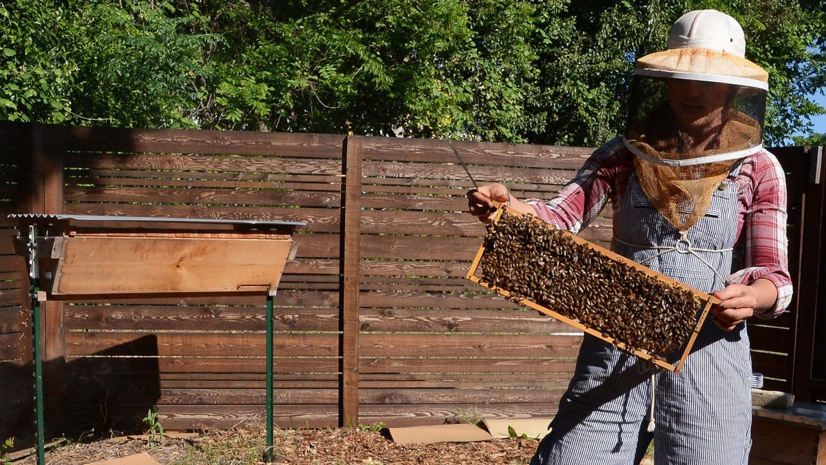 Beekeeping | WQED