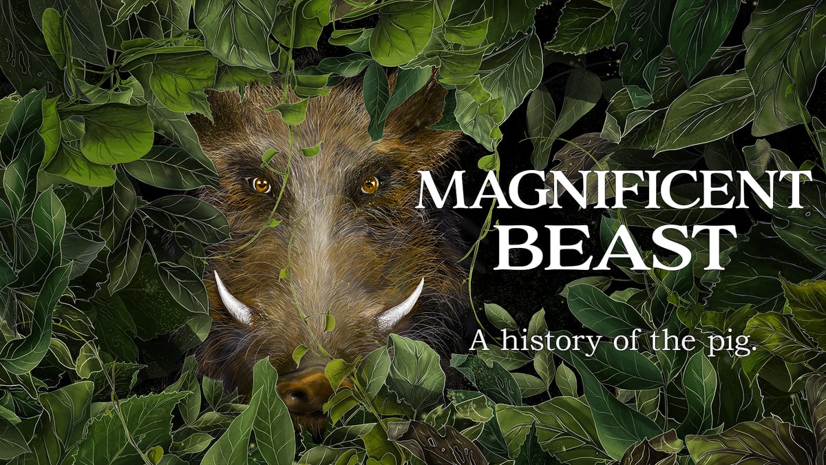 Beasts Science Magnificent Beast | BTPM PBS